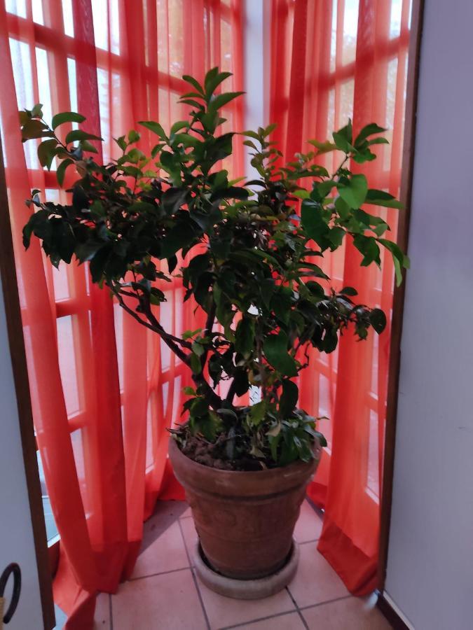 Hotel La Vela Castelnuovo Rangone Екстериор снимка